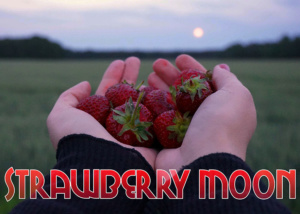 Strawberry moon - Summer