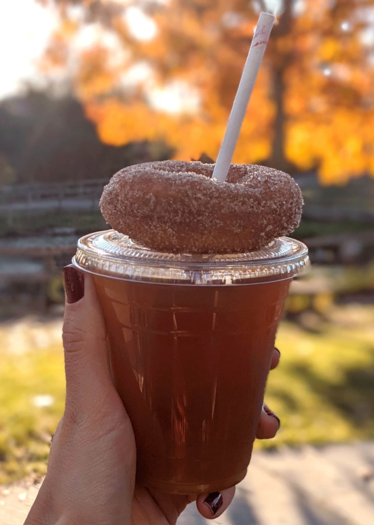 New England Traveling, Cider donuts