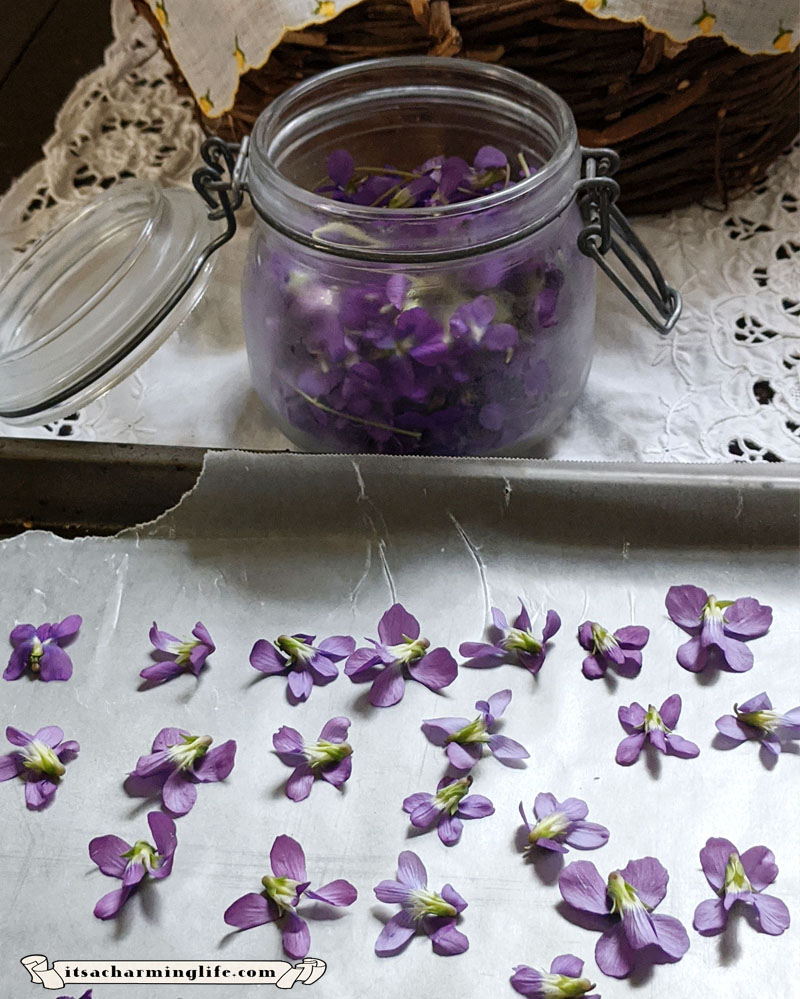 Violet Shortbread Cookies - Spring Flowers - Violets