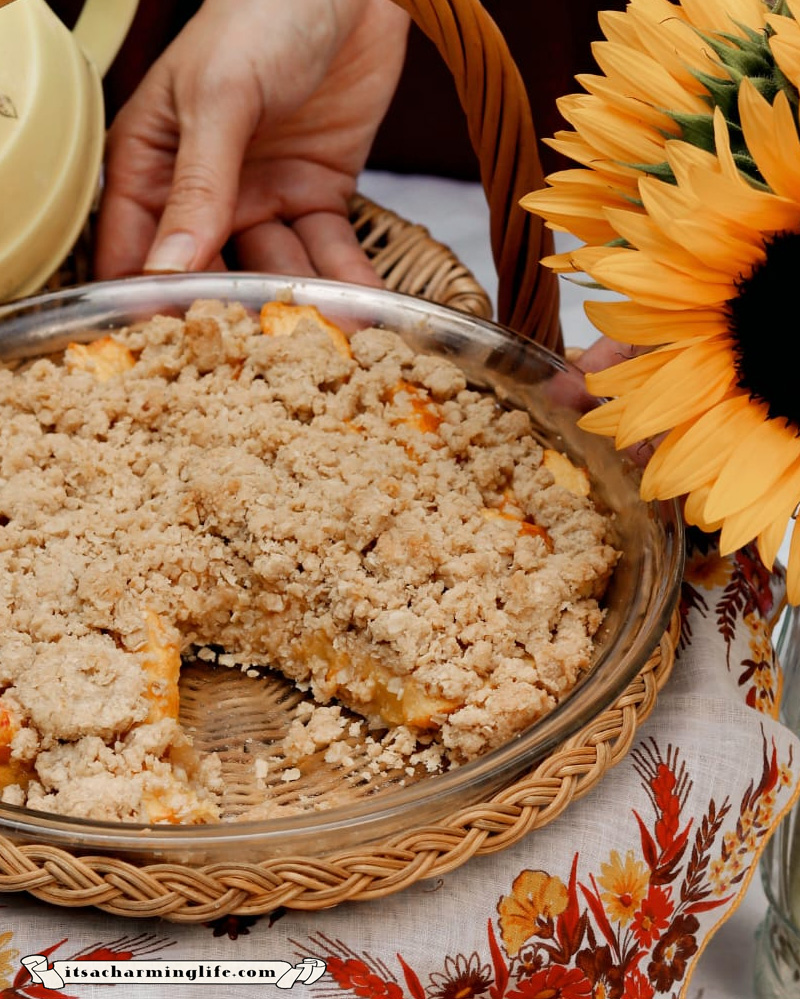 Harvest Fruit Pie - Cozy Fall recipe