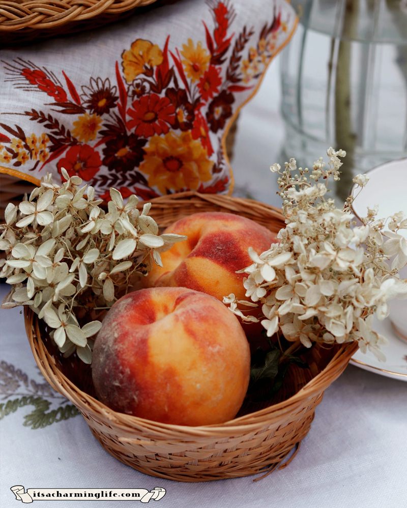Peaches - Harvest Fruit Pie - Cozy Fall Recipe - Cottagecore