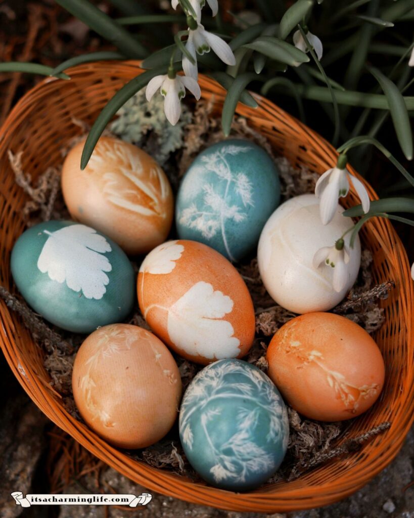 Natural colorful dyed Easter eggs