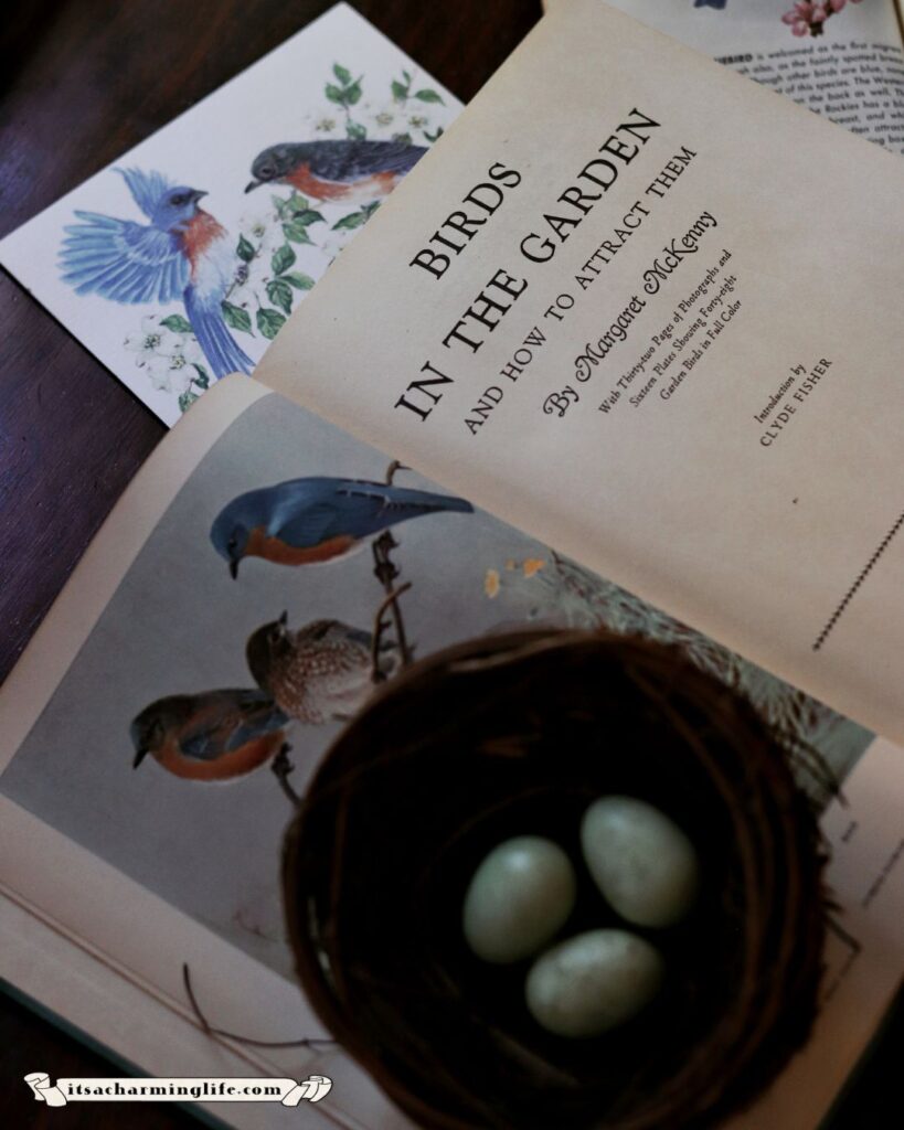 Vintage bluebirds in the garden book