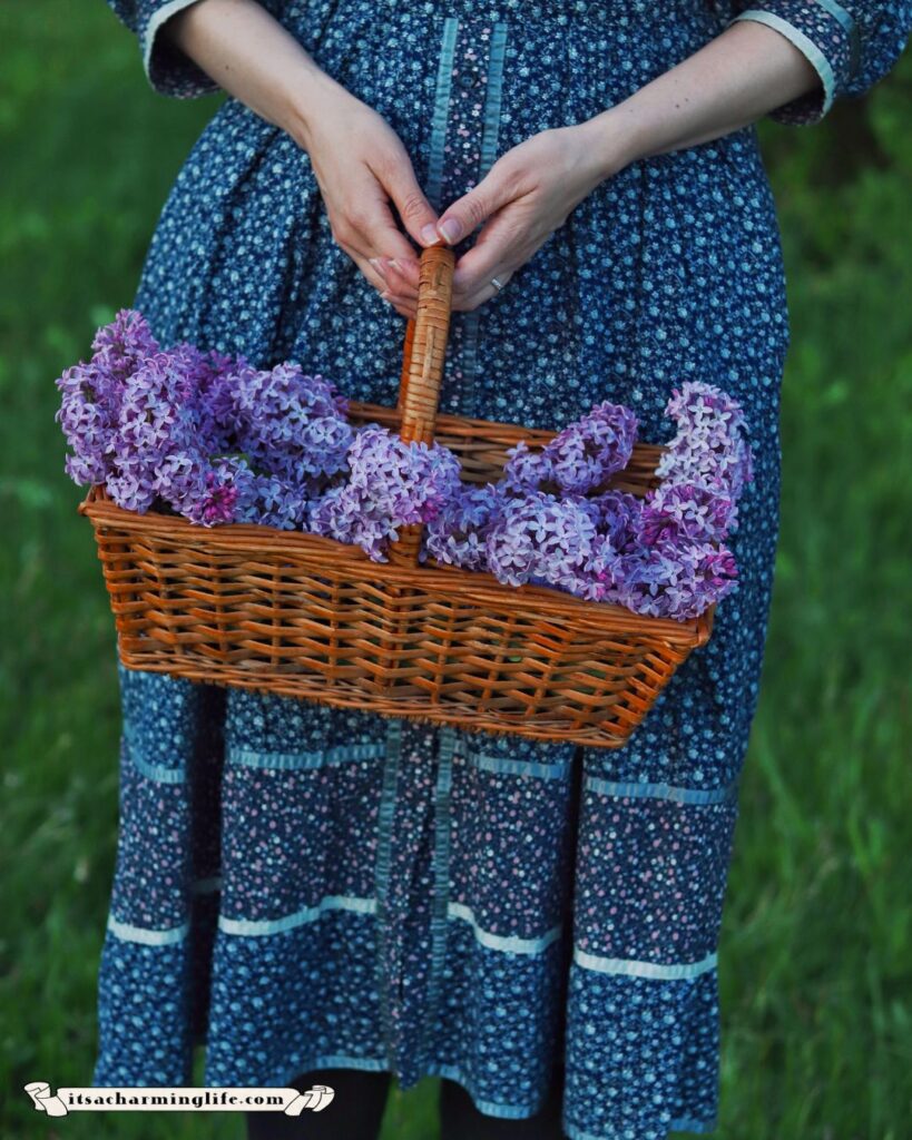 Cottagecore basket of lilac blooms