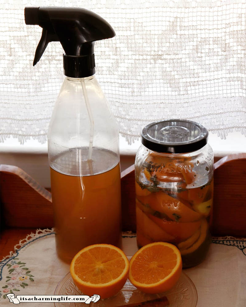 Organic Cottagecore Lifestyle - DIY cleaning spray - Orange