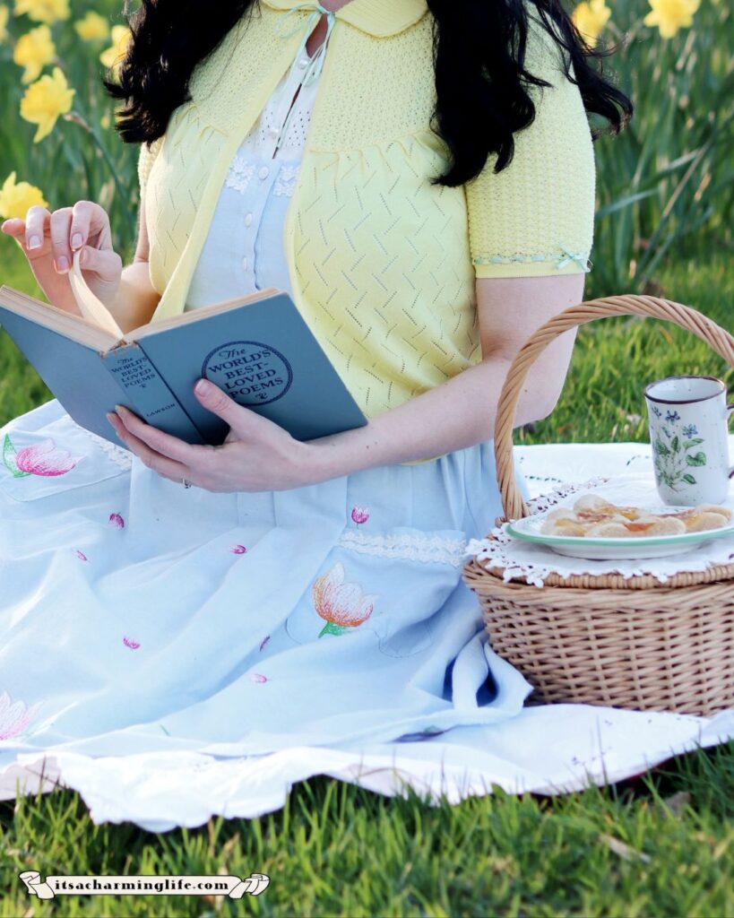 Spring picnic and reading outdoors